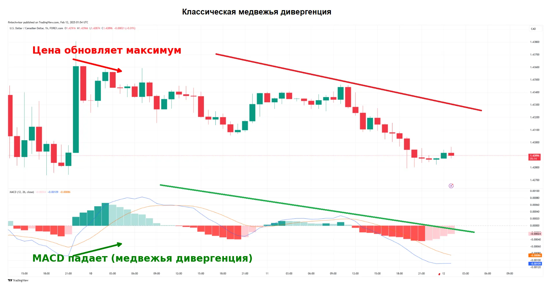 Бычья дивергенция (Bullish Divergence) – рынок падает, но индикатор растёт → значит, скоро рост.
